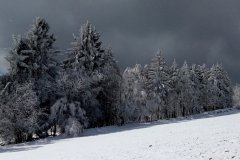 Zasněžená Šumava